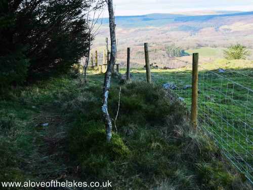 The track follows the fence line