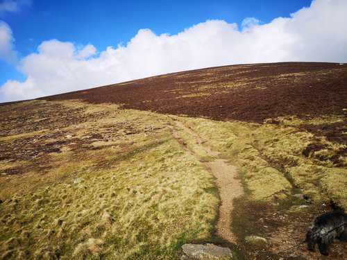 The path cuts diagonally across the West face of Black Combe