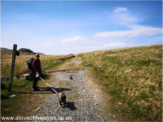 The starting point of the walk