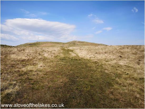 The grass path