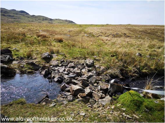  tributary streams off Devoke Water