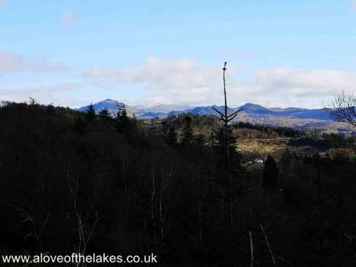 Looking over to Harter Fell