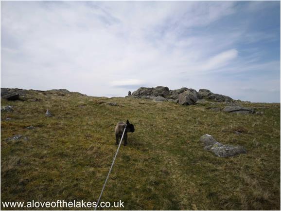 The summit cairn on White Pike