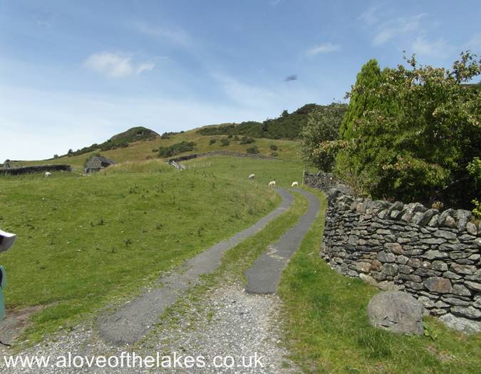 On the path proper