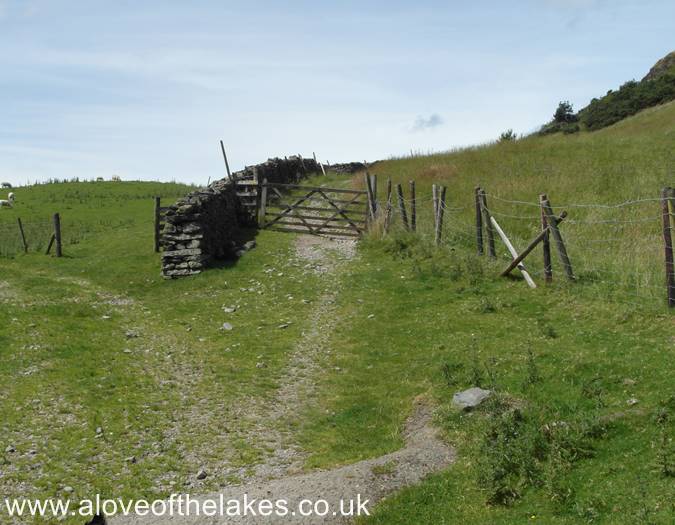 The gate in the fence