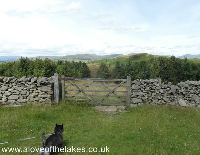 Approaching the gate