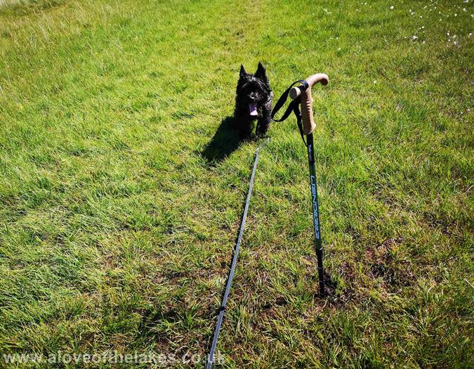 The boggy ground