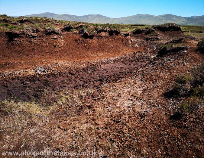 The peat bogs