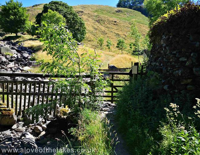 The hand gate