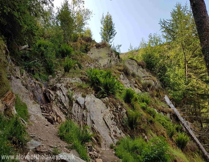 The small rock face