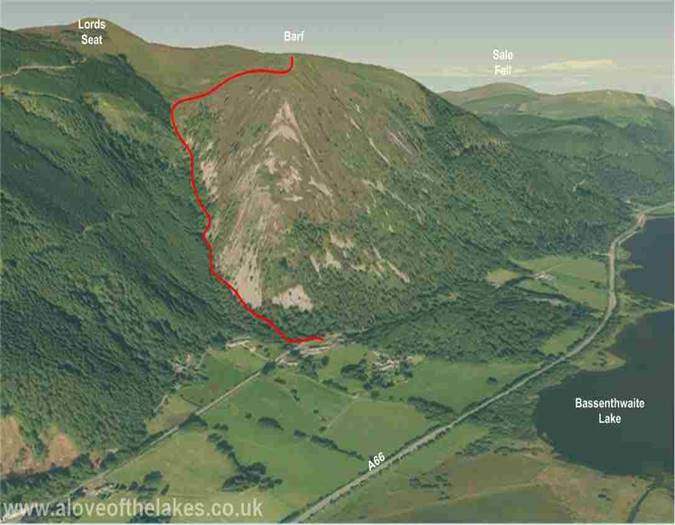 Terrain image