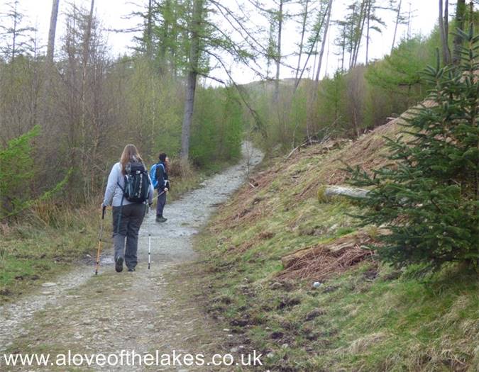 The track continues through a wooded area