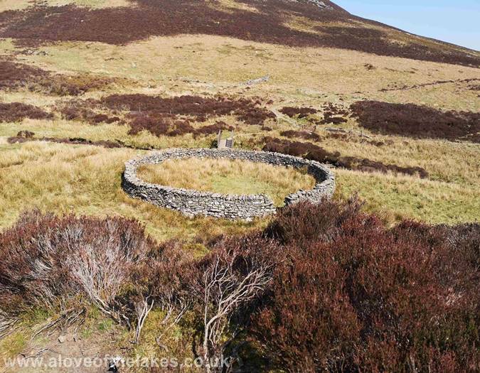 The stone circle sheep fold