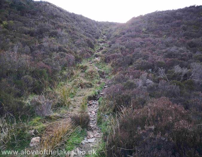 The steep sided cutting