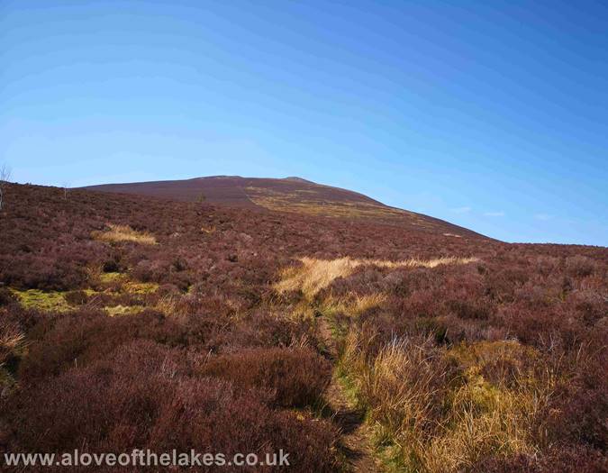 The path continues towards a gate