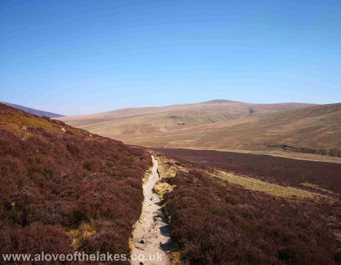 Looking back to Bowscale Fell