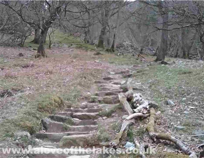 The stepped path