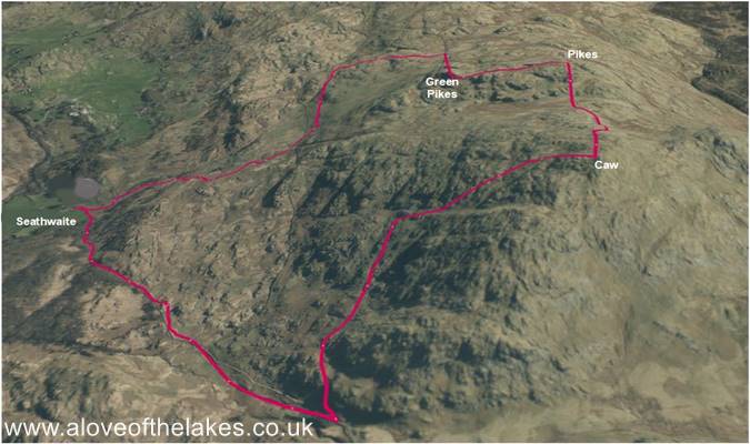 Terrain image