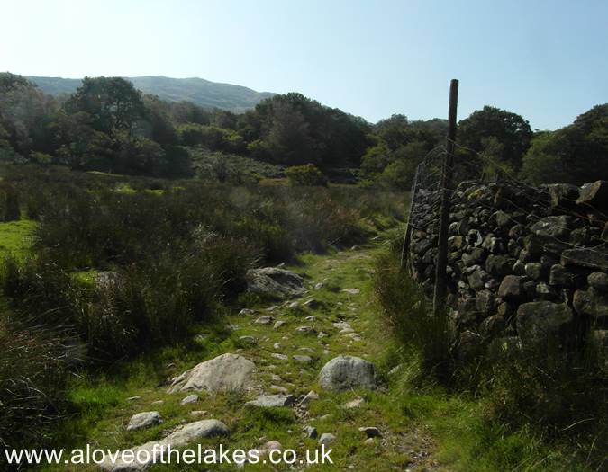 The start of the path