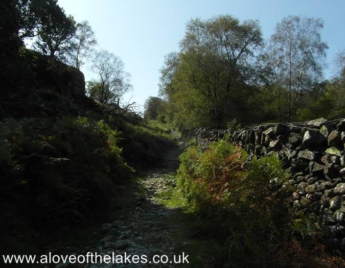 The path climbs gradually