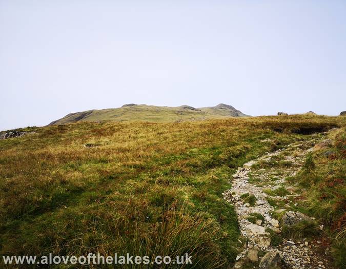 The path levels off