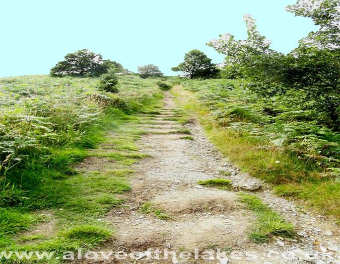 The path towards Kinn