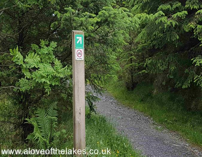 The signposted path