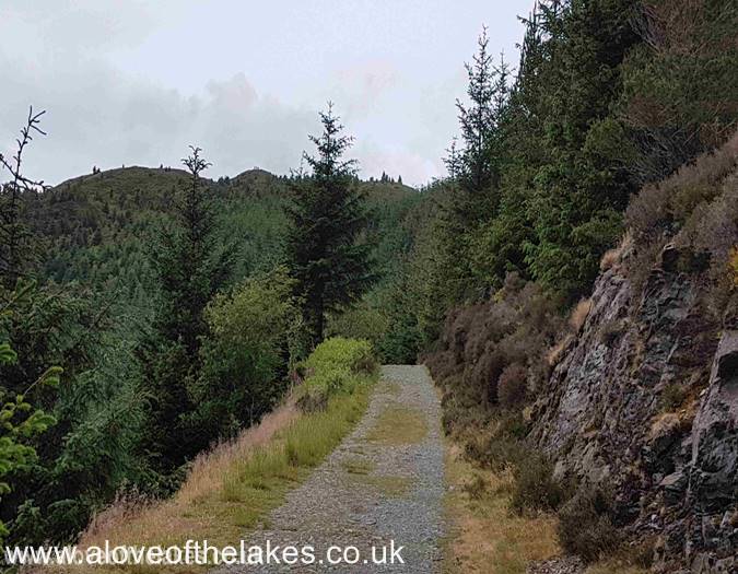 The first sight of Dodd summit