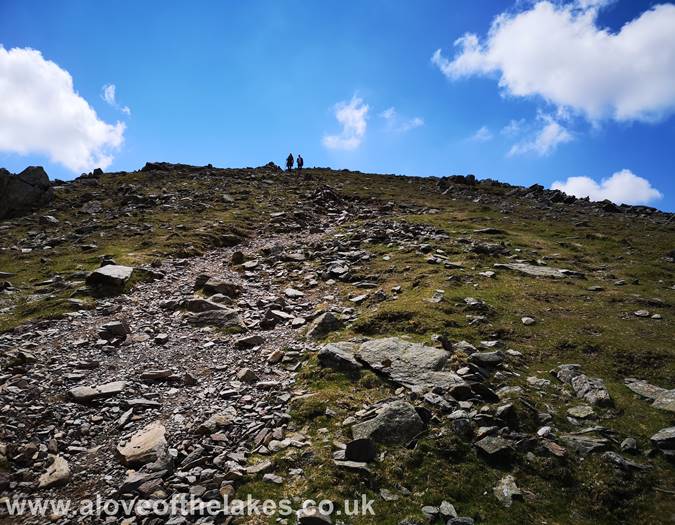 The scree path