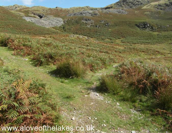 Take the left hand grass track