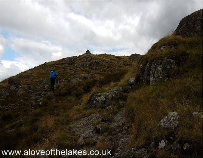 Rocky outcrops