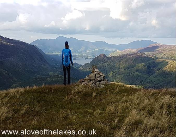 Taking in the views