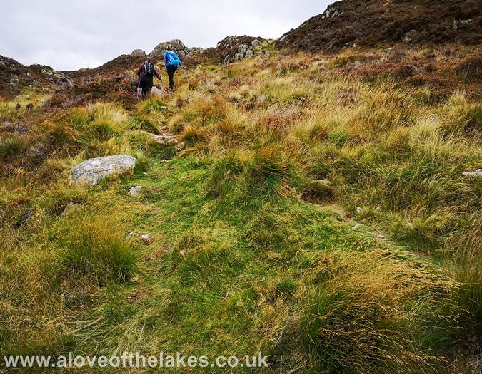 The winding path