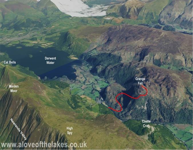 Terrain image