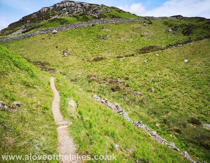 The path leads to a wall
