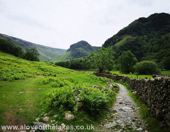 The grassy path