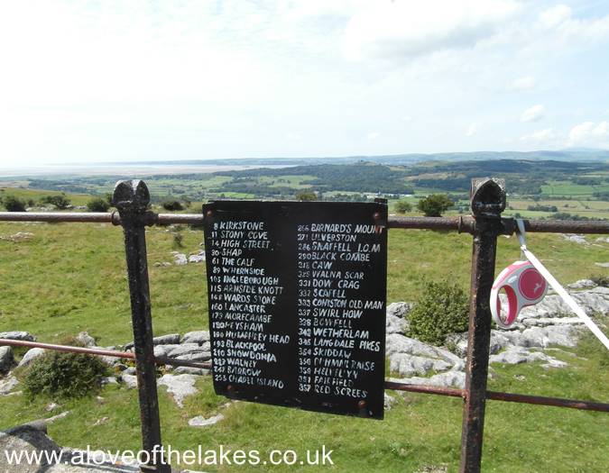 The indicator board