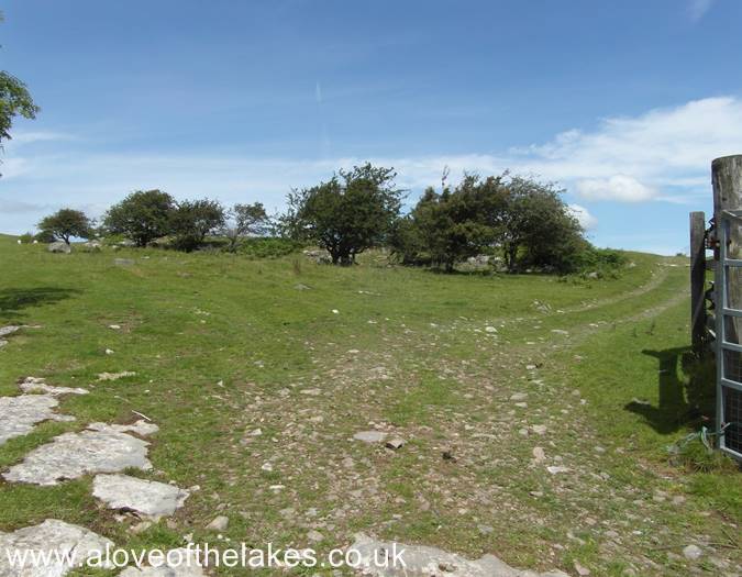 Setting out on the path