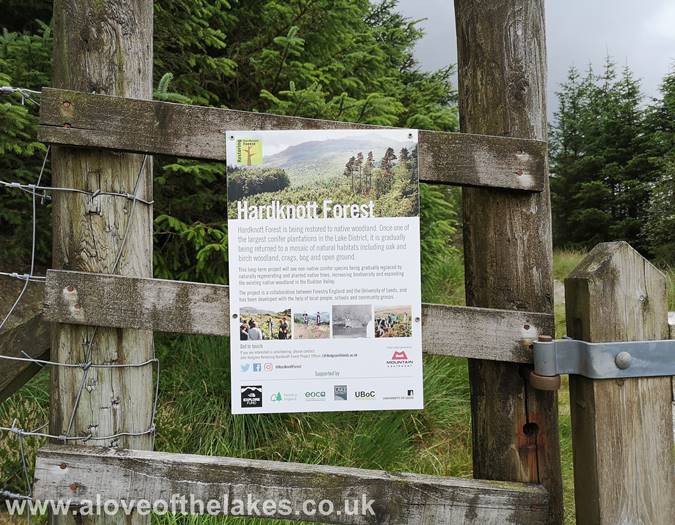 Forestry Commission information board
