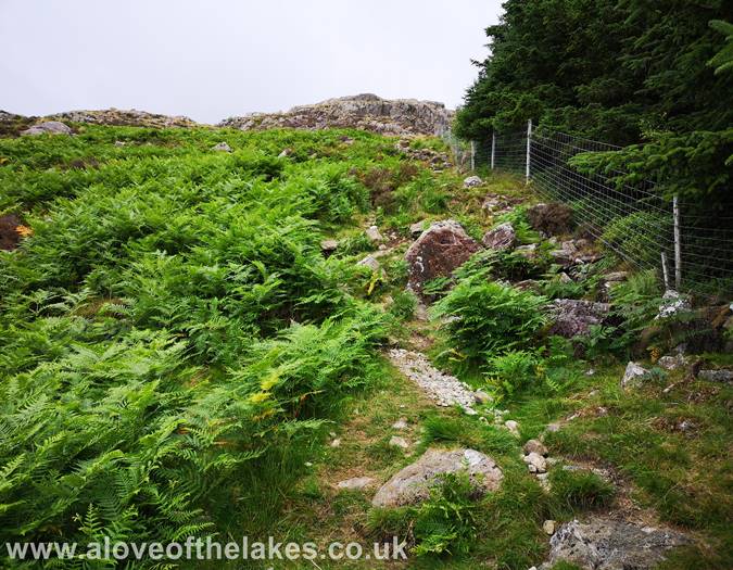 Starting the climb up the shoulder of Harter Fell