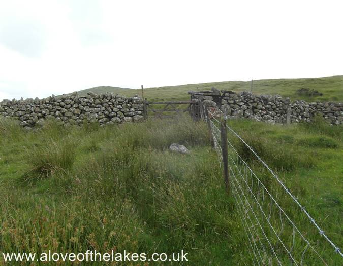 The wire fence