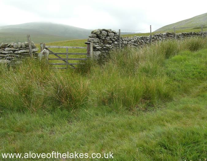 The third gate 