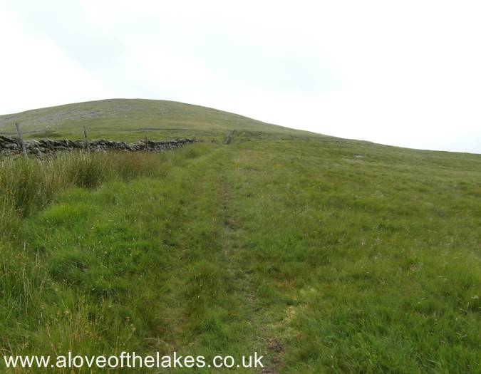 Following the grass track