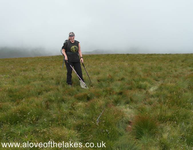 The summit of Hesk Fell