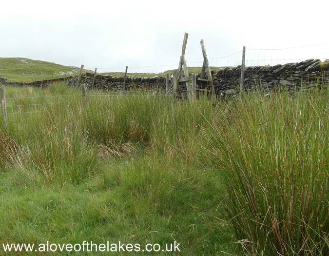 The fence stile