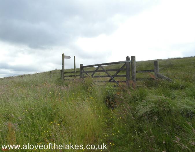 The gate leading on to the first field