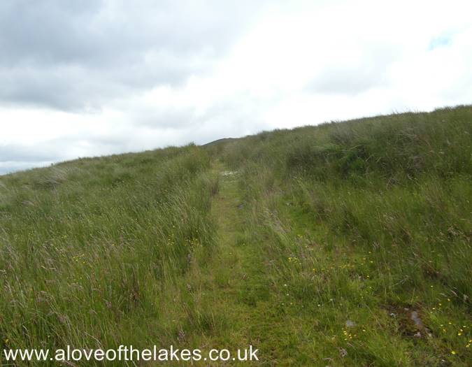 The grass trod path
