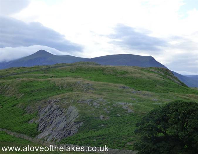 Looking North towards Skiddaw