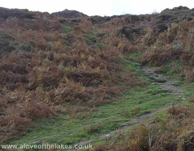 Heading towards Ivy Crag