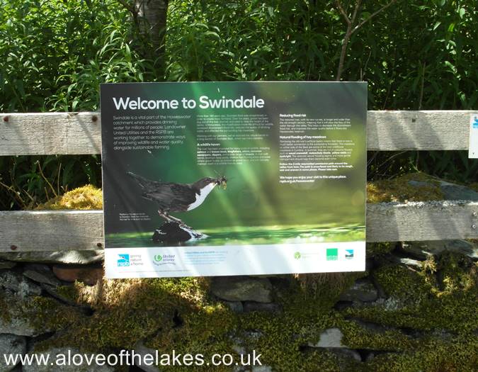 The information board
